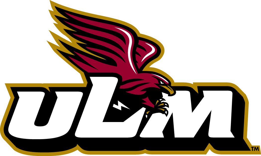 Louisiana-Monroe Warhawks 2006-Pres Alternate Logo v8 diy DTF decal sticker